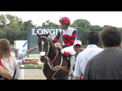 230402 c04 A  Vargas Guillemette/ MAJESTIC BOY