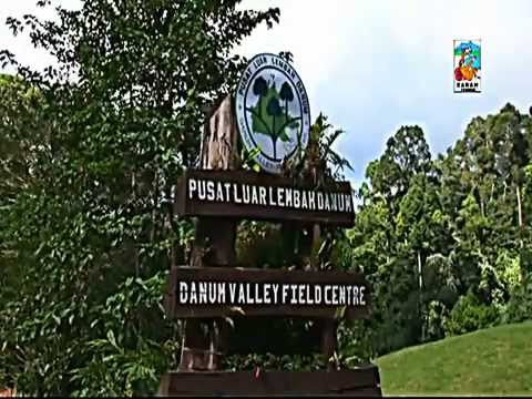 Introduction to Sabah, Malaysian Borneo   360p