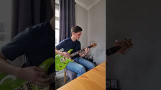 Stone Sour - Through Glass Noodle (Guitar Cover) #prs #guitar