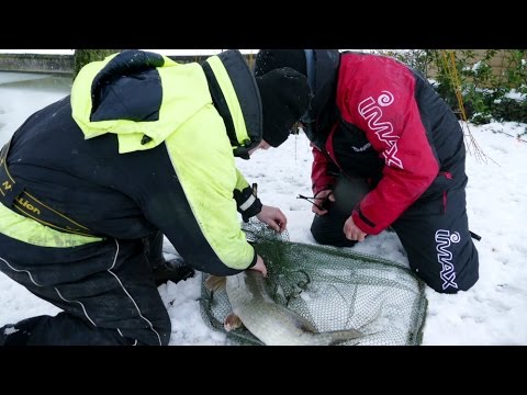 Matze Koch: Snow Pike - Matze's Antics 02-2016