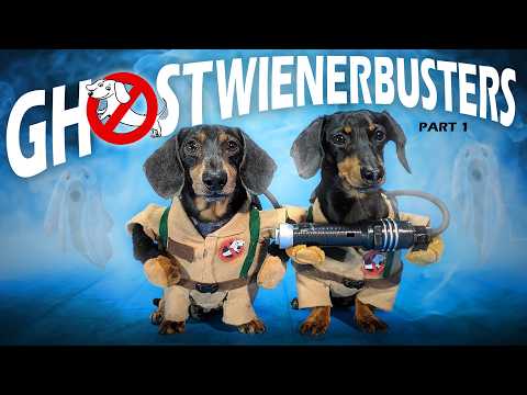 Folge 34: GHOSTWIENERBUSTERS – (Lustiges und gruseliges Hundevideo für Halloween)