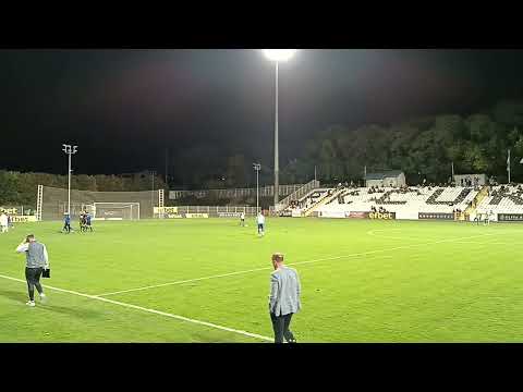 Stadion Čukarički, FK Čukarički