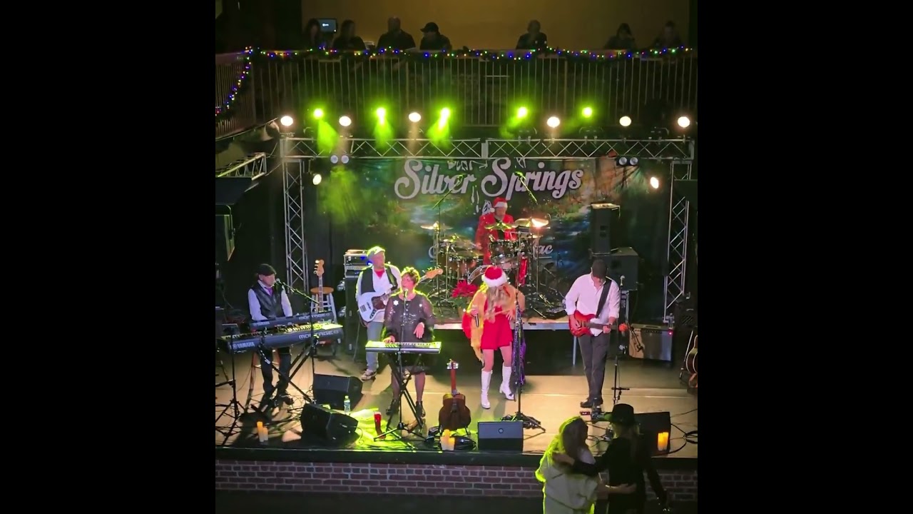 Promotional video thumbnail 4 for Silver Springs  Fleetwood Mac Experience