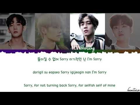 The Rose - Sorry lyrics