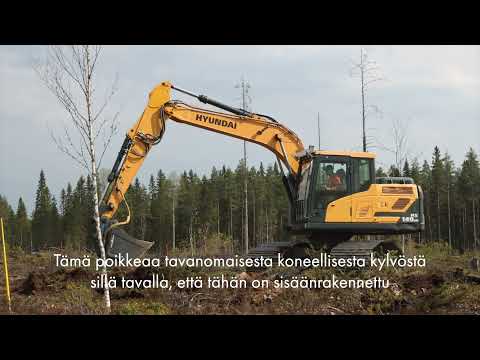 Metsäkylvökauha parantaa taimettumista