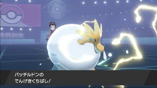 【ポケモン剣盾】A種族値はウオノラゴンより高い！ゆきかきパッチルドンを使ってみた　使用率圏外ポケモンしか使えないランクマッチ#13【マイナーポケモン/縛りプレイ】