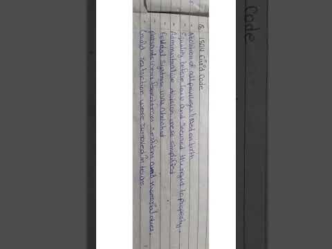 1804 civil code ♡ (coral series)