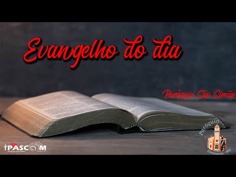 Meditando o Evangelho do dia 12/06