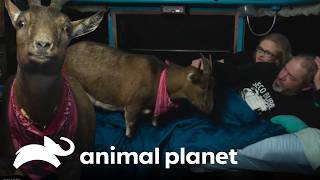 Thumbnail del capítulo