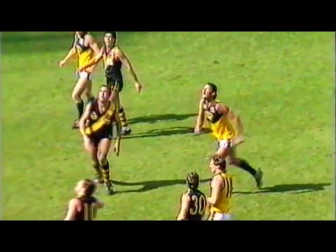 1986 SANFL Preliminary Final - Glenelg vs Woodville