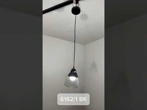 Миниатюра изображения товара Потолочный светильник Aitin-Pro НСБ 01-60-101 / 6162/1 (черный)