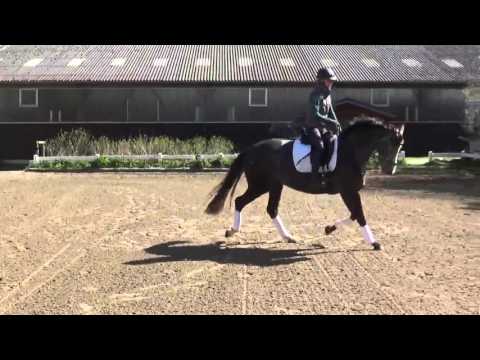 Blondy B. - Bordeaux - Rohdiamant