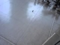 WHAT IS THIS SONG S NAME OUTSIDE LAS VEGAS S FASHION SHOW MALL PLEASE HELP ME