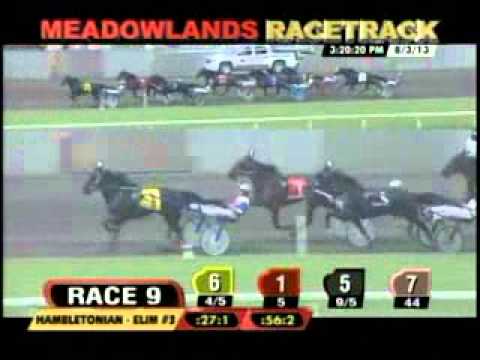 Hambletonian Elimination 2013 -Spider Blue Chip