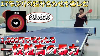 【卓球】1,800円で味わえる一枚粒高の暴力