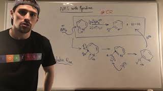 NAS with Pyridine--the Chichibabin Reaction & Adding to C2/C4