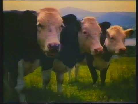 [720p/50p] ITV LWT | continuity | 17th October 1982