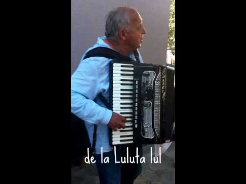 Costel de la Bolintin , Nelu Bosoi si Florica Sandor 2015 Ungureni