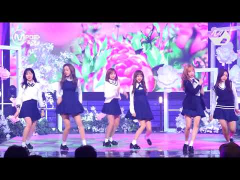 에이프릴 직캠 손을 잡아줘 Take My Hand APRIL Fancam