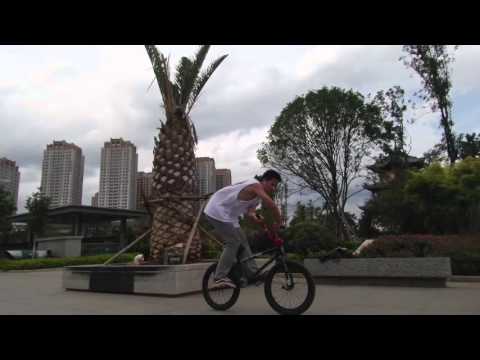 EVO ONLINE 5CLIPS JAM 2015 - YANG JING