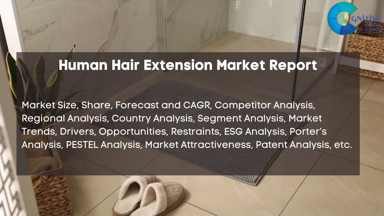Human Hair Extension  Market Insights