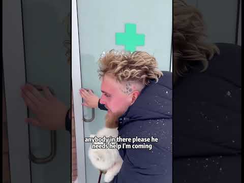 I Helped a Wolf Rescue Her Pup… You Won’t Believe What Happened Next 🐺❤️ #wolf #animalrescue