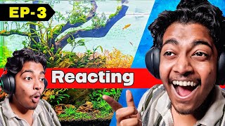 Reacting to your Planted tanks and giving solutions and suggestions ( EP - 3 )