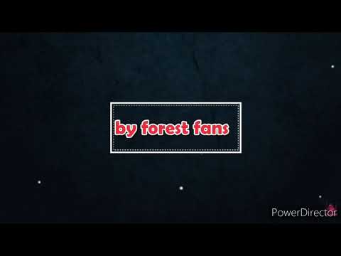 ブレントフォード 0 v フォレスト 1 試合レビュー｜ノッティンガム・フォレストの試合解説 (Brentford 0 v forest 1 match review | Nottingham forest match talk)