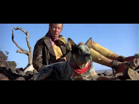 Dinki-Di, meat & vegies (Mad Max 2, 1981)