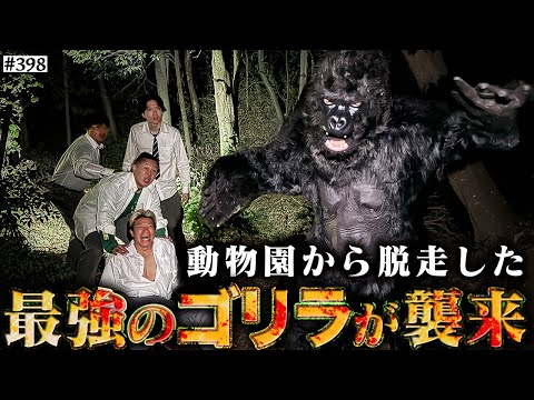 学校教育学科 【最強ゴリラ襲来】本当は不良なのに陰キャになりすます高校生の日常【コントVol.398】