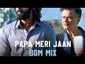 ANIMAL: PAPA MERI JAAN (whistle) | Ranbir Kapoor | Anil K,Rashmika M | Sandeep V Sonu Nigam