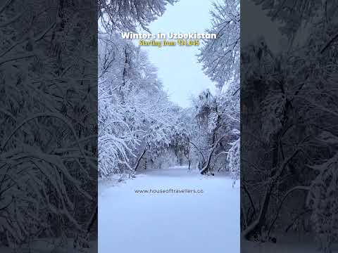 Uzbekistan in Winter. #uzbekistan #aesthetic #winter #travel #internationaltrip #tourism