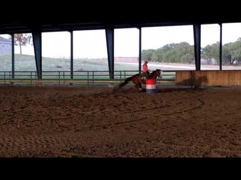 BF UNOFRENCHDINERO aka Buttons exhibition at Million Heir Arena, Dublin, TX 3/18/14