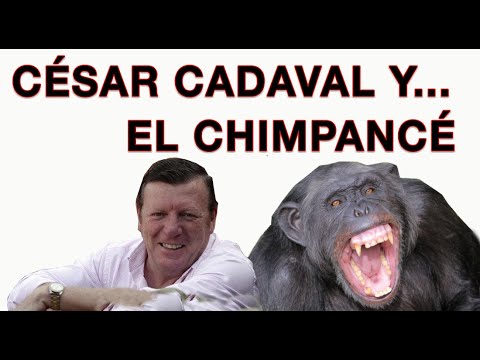 El Chiste del Chimpancé César Cadaval Los Morancos