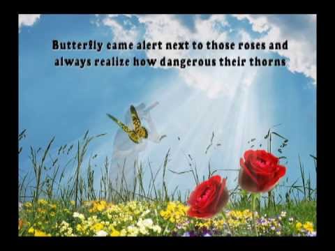 RIEKKYE - Butterfly and Roses