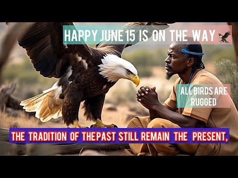 JUNE 15 JOJO BY EGBON NEST🌳 ALL BIRDS ARE RUGGED