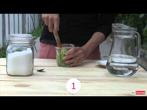 Comment faire des glaces à l'eau maison?