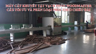 MÁY CẮT KHUYẾT TẬT VẠCH PHẤN CAO TỐC WM-S260 | tối ưu cắt và phân loại theo kích thước | Woodmaster