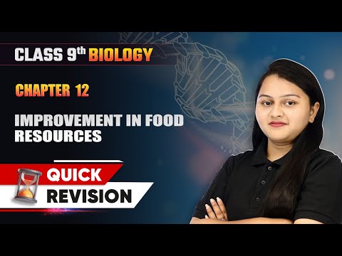 Matter In Our Surroundings Quick Revision Class 9 Chemistry Chapter 1 CBSE 2025 26