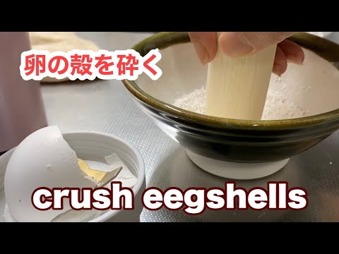 庭の卵殻粉末: 成功の秘訣を発見する  庭園