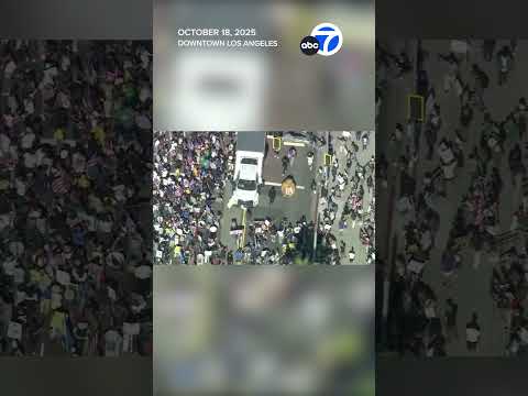 Thousands march in Los Angeles 'No Kings' protest and rally