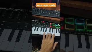 Download lagu satu rasa cinta - Arief violin cover mp3