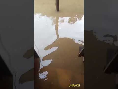 Viviendas inundadas en Bayamo tras paso de Melissa