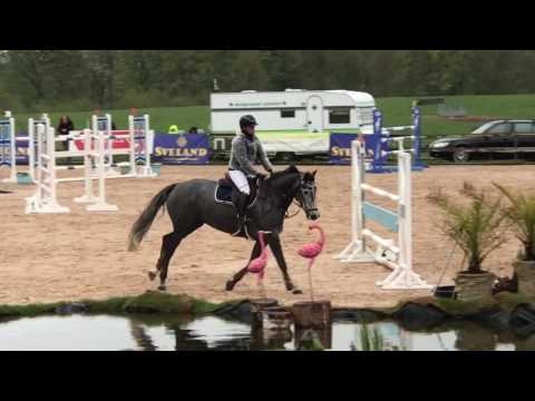 Casalca Z -2011, Casall x Corrado I, 1.30, 11/5-17