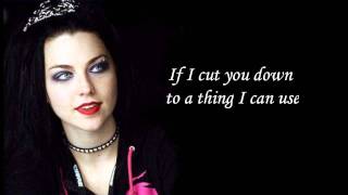 Lose Control- Evanescence- The Open Door
