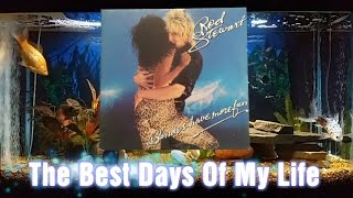 The Best Days Of My Life   Rod Stewart   Blondes Have More Fun   4