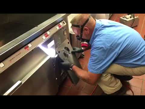 Cockroaches Sneak into Food Facility in Carteret, NJ