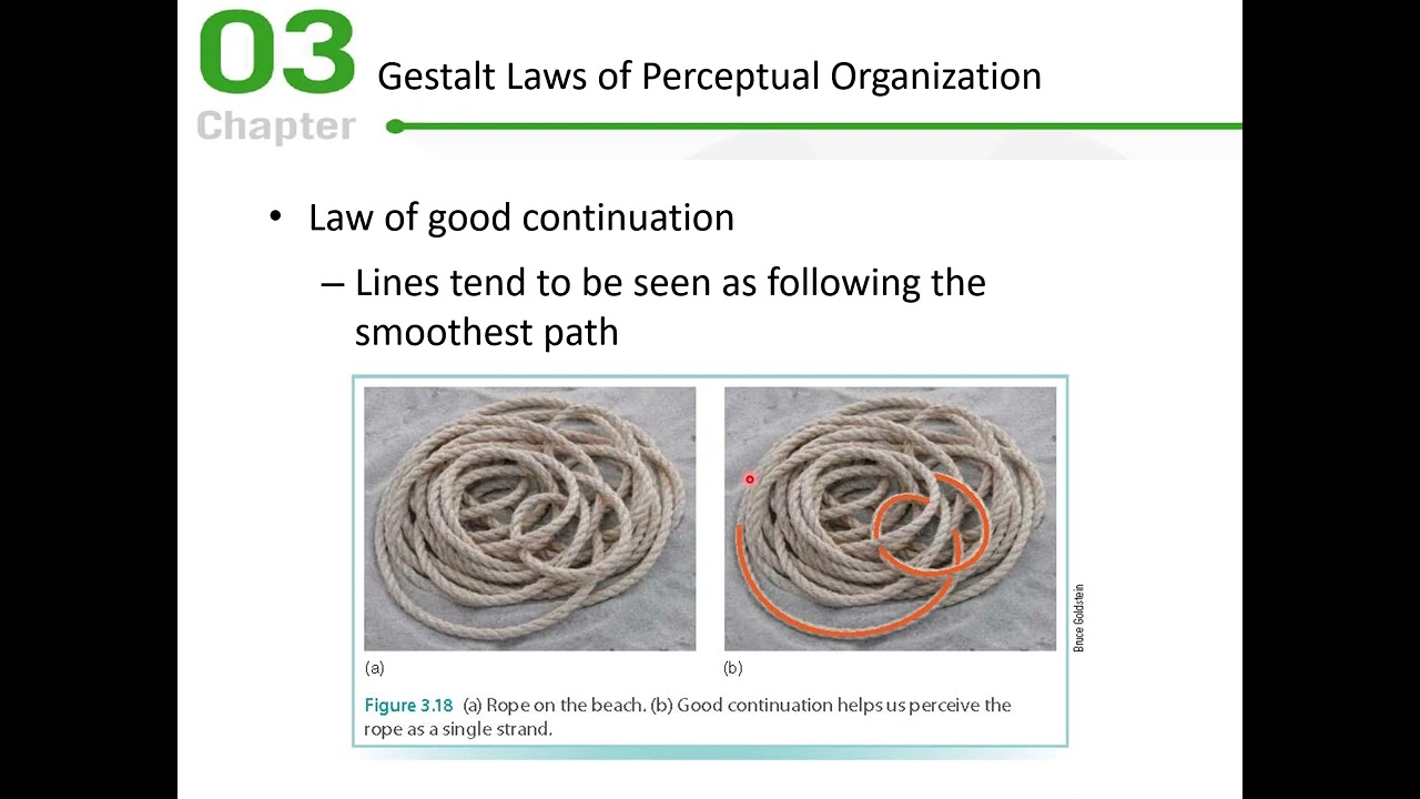 Cognitive Psychology: Chapter 3 Lecture