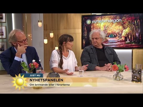 Fredagshetta i Nyhetspanelen med Hakelius, Dahlman och Greider - Nyhetsmorgon (TV4)
