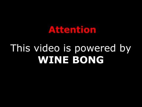 PIGS PARLAMENT - Banjo Punk (Official Video)